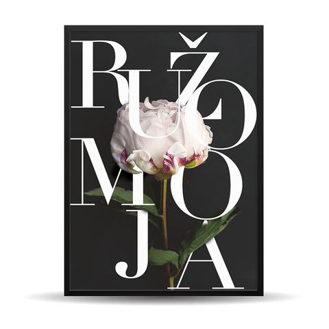 Moje Zemlje (Biraj svoje zemlje na karti)